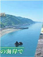 ドキュメント72時間：新潟 ヒスイ探しの海岸で在线观看