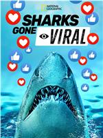 Sharks Gone Viral