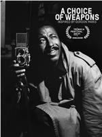 A Choice of Weapons: Inspired by Gordon Parks