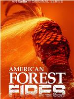 American Forest Fires: The Untold Story Season 1在线观看和下载