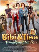 Bibi & Tina: Tohuwabohu total在线观看和下载