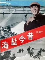 海盐今昔在线观看