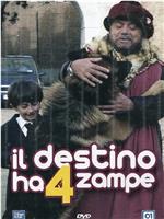 Il destino ha 4 zampe在线观看