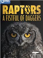 Raptors - A Fistful of Daggers在线观看和下载