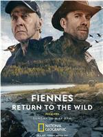 Fiennes Return to the Wild在线观看和下载