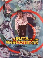 La ruta de los narcóticos在线观看和下载