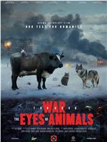 War Through the Eyes of Animals