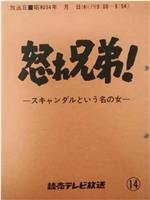 怒れ兄弟!在线观看