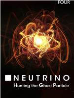 Neutrino: Hunting the Ghost Particle在线观看和下载