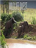 Wildlife Quest  season 2 Season 2