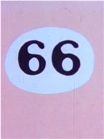 66