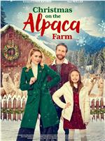 Christmas on the Alpaca Farm