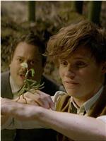 Fantastic Beasts and Where to Find Them: Bowtruckle在线观看和下载