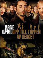 Arne Dahl: Upp till toppen av berget在线观看和下载