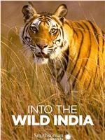 Into the Wild: India Season 1在线观看和下载